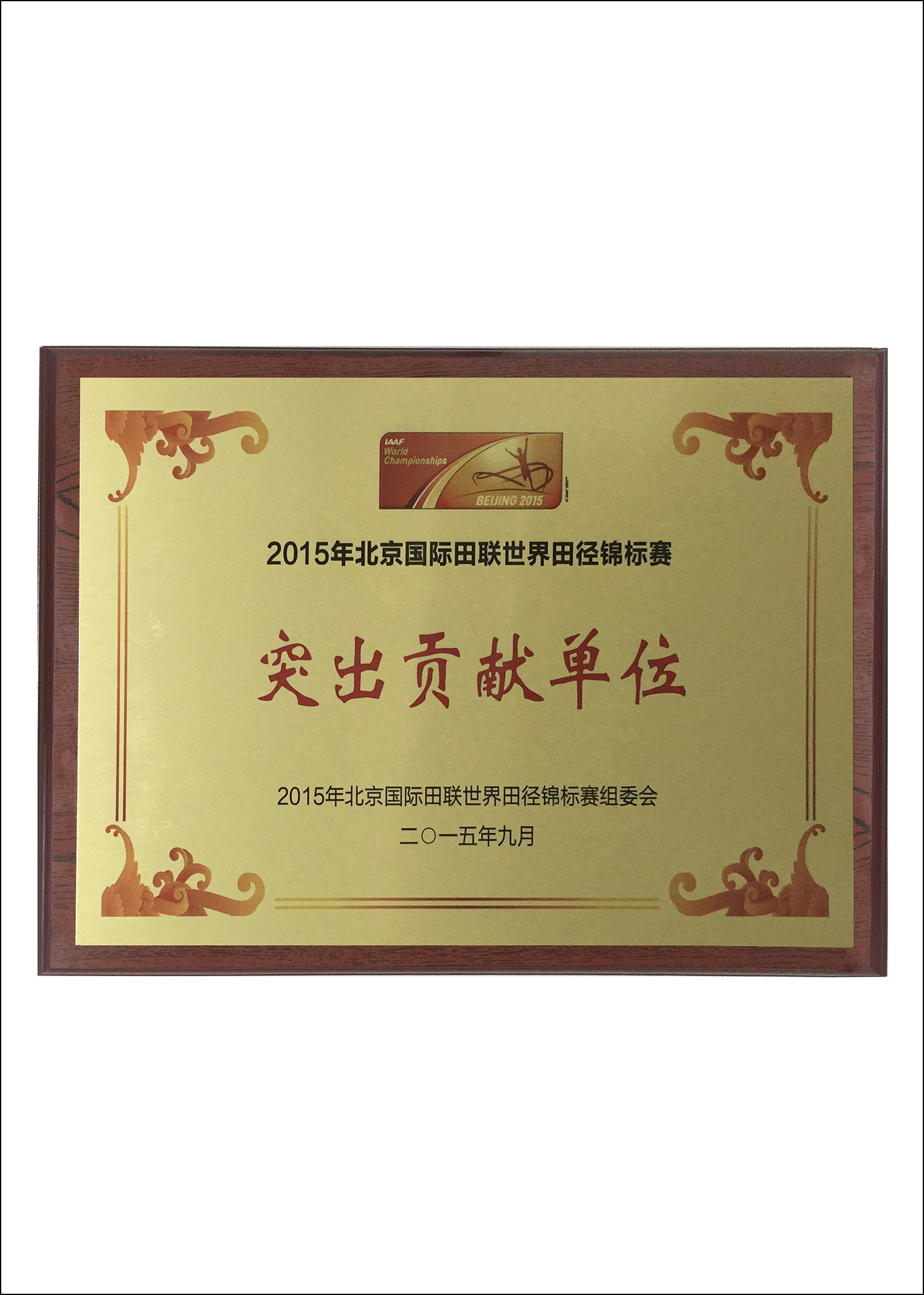 世界田徑錦標(biāo)賽突出貢獻(xiàn)單位